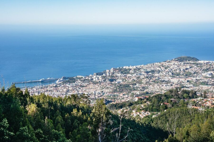 Madeira: Half-Day Pico Arieiro Jeep Tour - Santo da Serra and the taste of local life