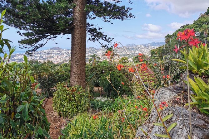 Madeira Highlights: Toboggan, Garden & Cable Car (All-Inclusive) - Who will get the most from this experience?
