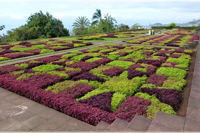 Madeira Highlights: Toboggan, Garden & Cable Car (All-Inclusive) - Timing, weather, and practical details