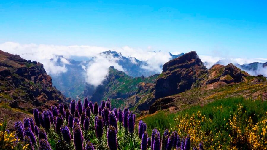 Madeira: Jeep tour Pico Areeiro, Santa Cruz and Cristo Rei - What the guide adds to the drive
