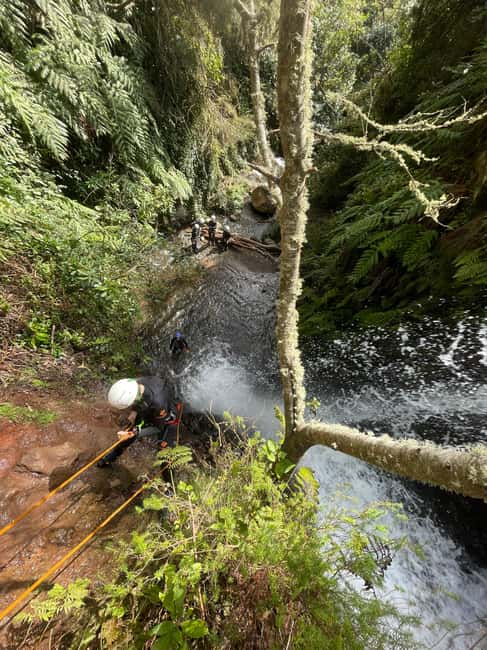 Madeira: Level-1 Canyoning Adventure - Cold pools, spring water, and natural slides
