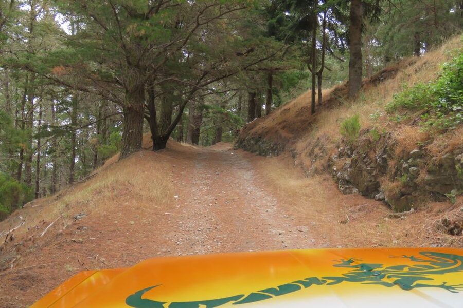 Madeira : Nun's Valleys and Pico Areeiro 4X4 Tour - Camacha and Madeira’s wickerwork tradition