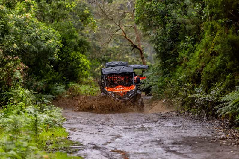 Madeira: Off-Road Buggy Adventure Through Laurissilva Forest - Key things to know before booking
