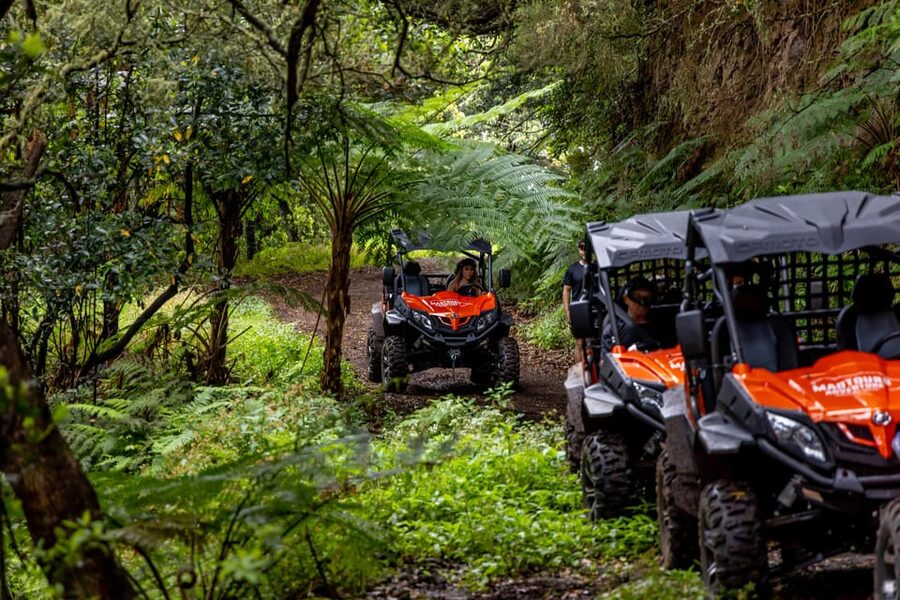 Madeira: Off-Road Buggy Adventure Through Laurissilva Forest - Should you book the Laurissilva buggy adventure?