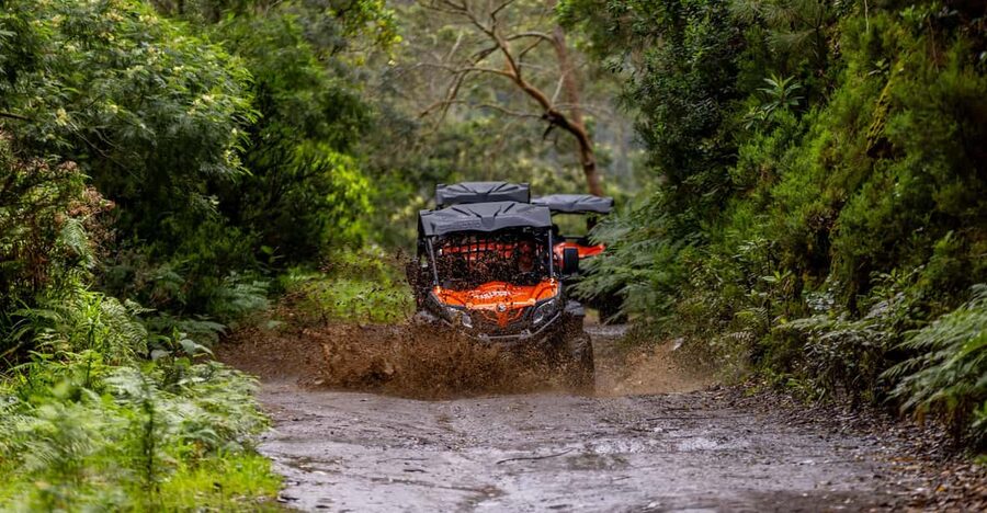 Madeira: Off-Road Buggy Adventure Through Laurissilva Forest - Casa das Funduras, a useful pause in the forest