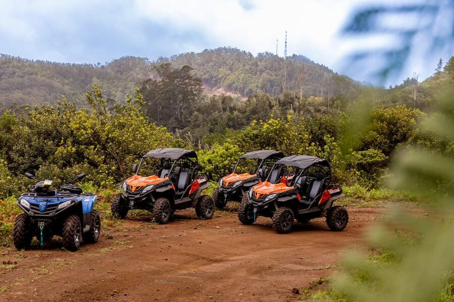 Madeira: Off-Road Buggy Adventure Through Laurissilva Forest - Boca do Risco and Madeira’s north-coast views