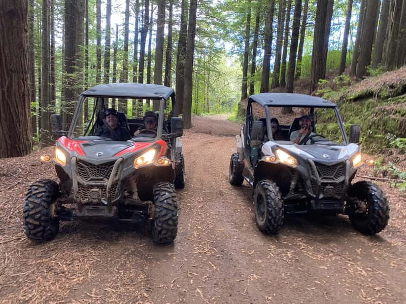 Madeira: Off-Road Buggy Driving Experience - Why the small group matters