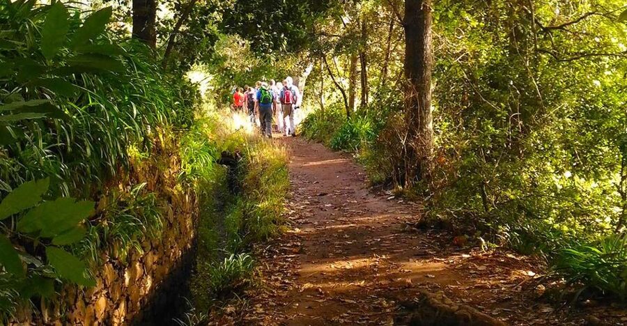 Madeira: Paradise Valley Levada Walk - Key points to know before booking