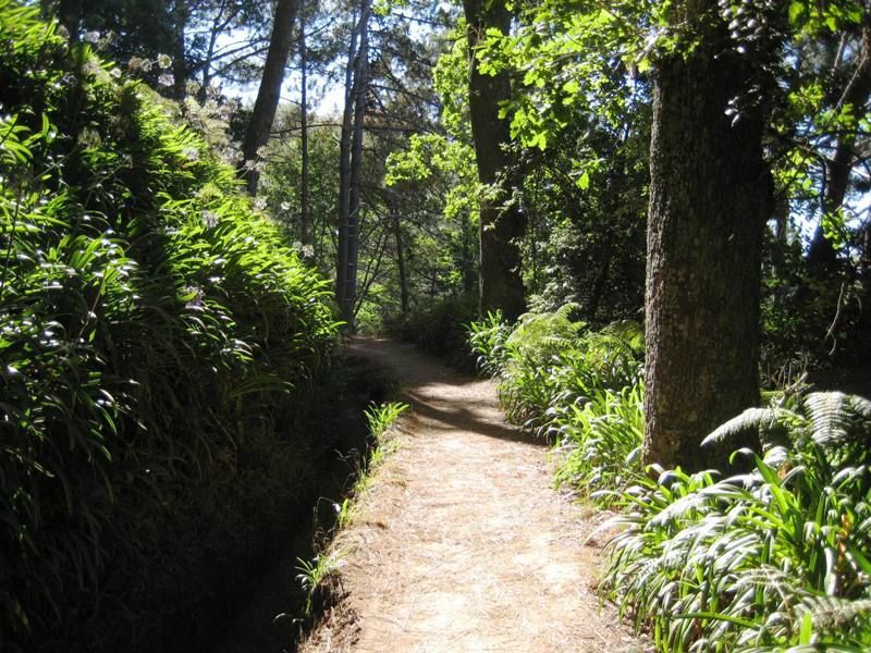 Madeira: Paradise Valley Levada Walk - Why this levada walk is different