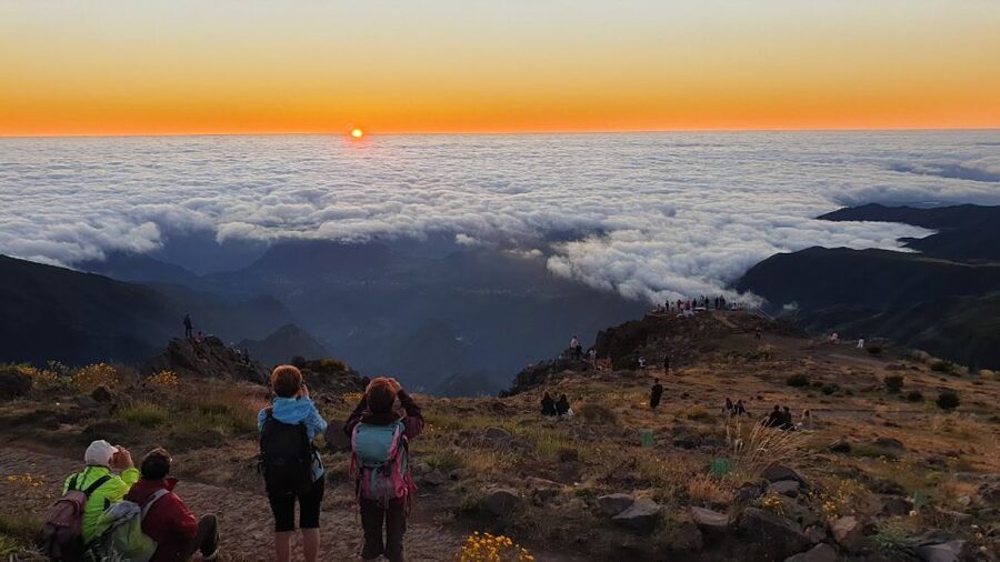 Madeira: Pico do Areeiro Sunrise Tour - An easy levada walk through Madeira’s forest