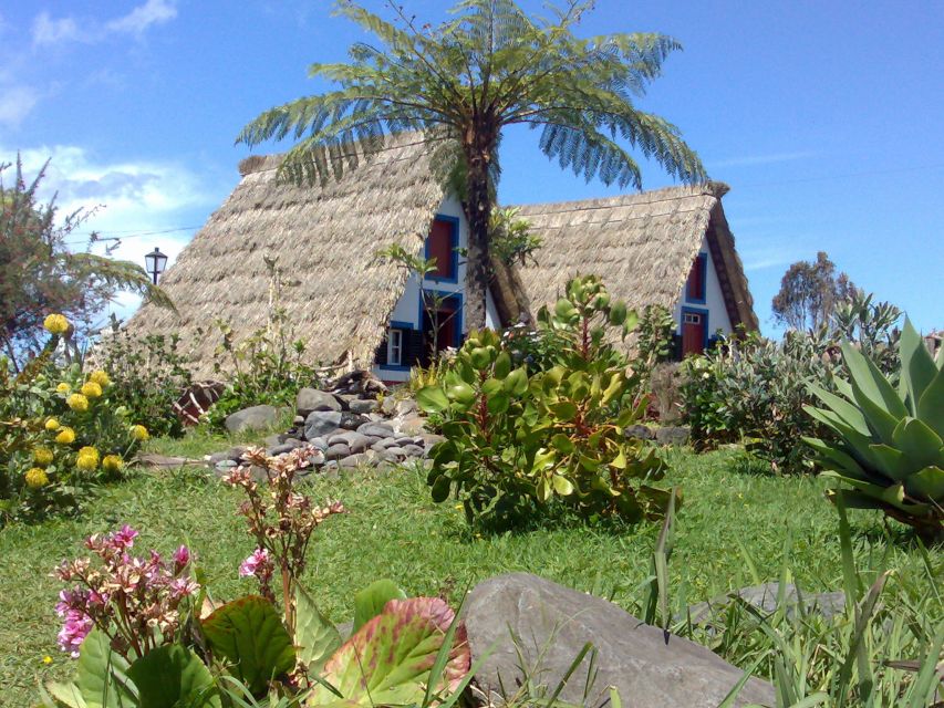 Madeira: Pico do Arieiro & Laurissilva Forest - East tour - A big Madeira day for a very small price