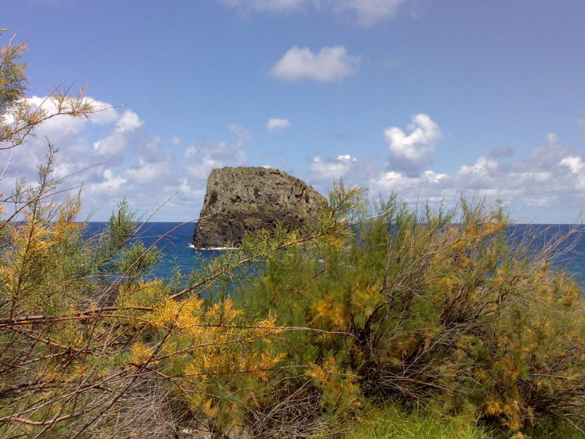 Madeira: Pico do Arieiro & Laurissilva Forest - East tour - Starting near Funchal and heading uphill