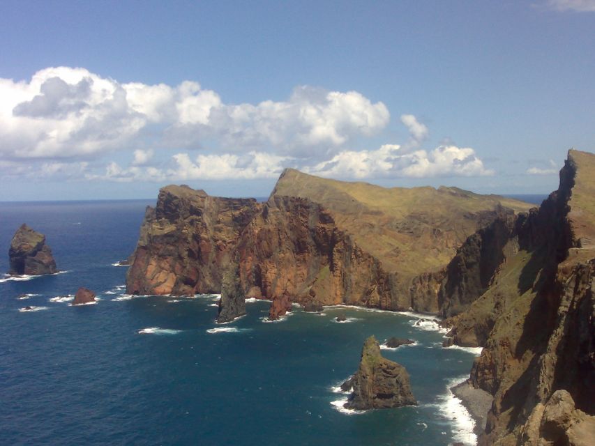 Madeira: Pico do Arieiro & Laurissilva Forest - East tour - Walking through the ancient Laurissilva Forest