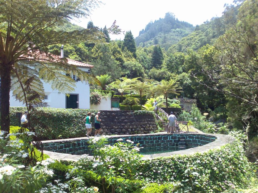 Madeira: Pico do Arieiro & Laurissilva Forest - East tour - Pico do Facho and Machico’s historic bay