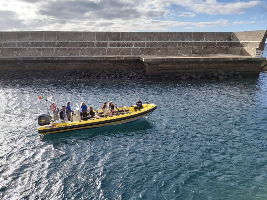 Madeira: Ponta de São Lourenço Lighthouse Boat Tour - What the 30 to 60 minutes feels like