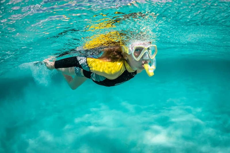 Madeira: Ponta de São Lourenço Snorkeling Boat Trip - Why this eastern coast trip is worth your time