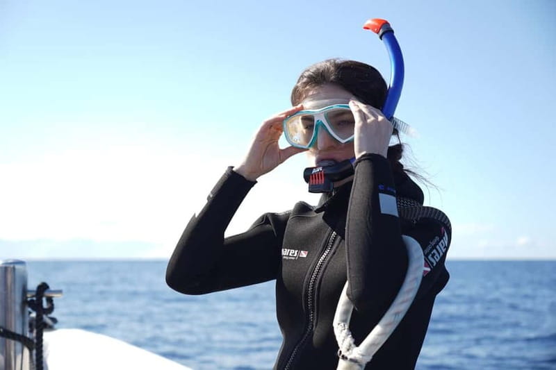 Madeira: Ponta de São Lourenço Snorkeling Boat Trip - Who should book this trip?