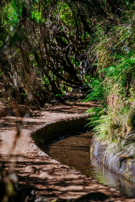 Madeira: PR 18 - Levada do Rei Hike Transfer - The leafy tunnels and waterfalls of PR18