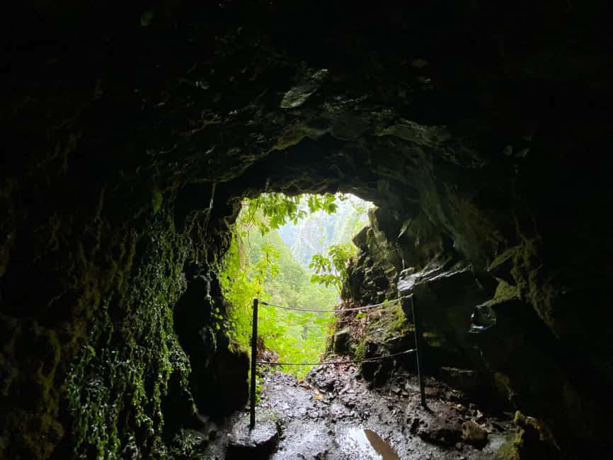 Madeira: PR 9 - Levada do Caldeirão Verde Hike Transfer - Key points to know before booking