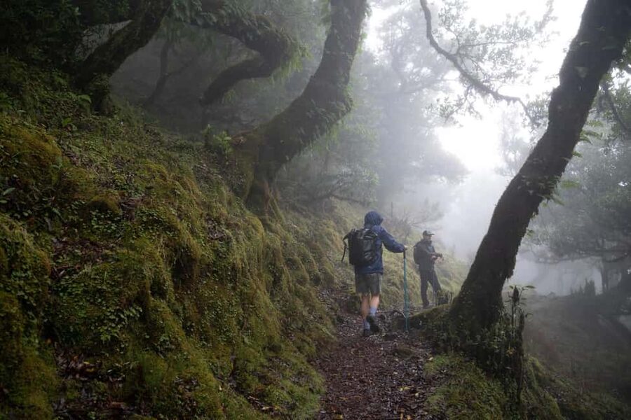 Madeira: PR 9 - Levada do Caldeirão Verde Hike Transfer - Pico das Pedras and the PR9.1 approach
