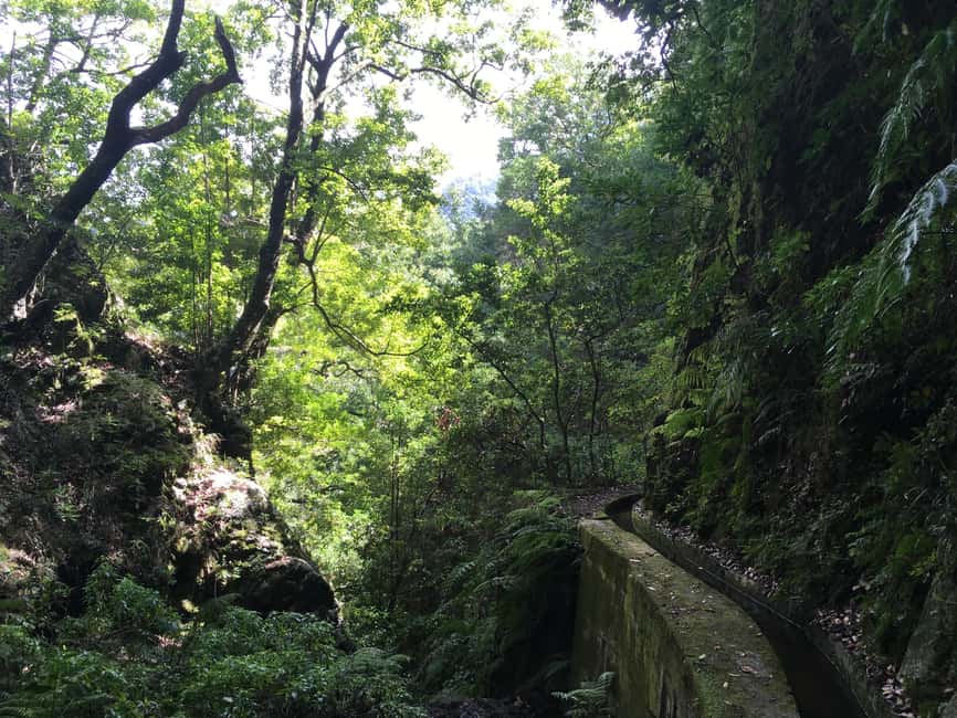 Madeira: PR 9 - Levada do Caldeirão Verde Hike Transfer - Walking beside the levada through Laurissilva Forest