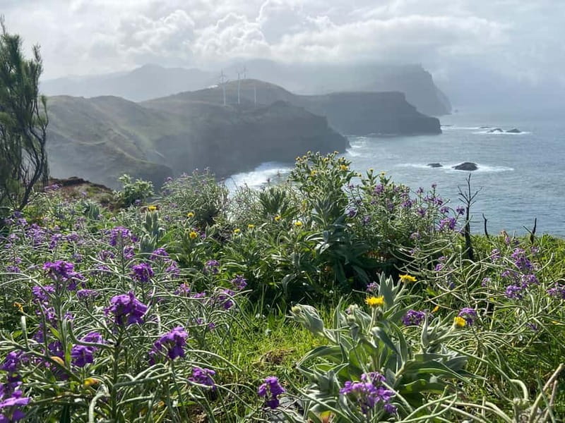 Madeira: PR8 -Ponta de São Lourenço Natural Reserve Transfer - Wind, mud, heat, and the gear you need
