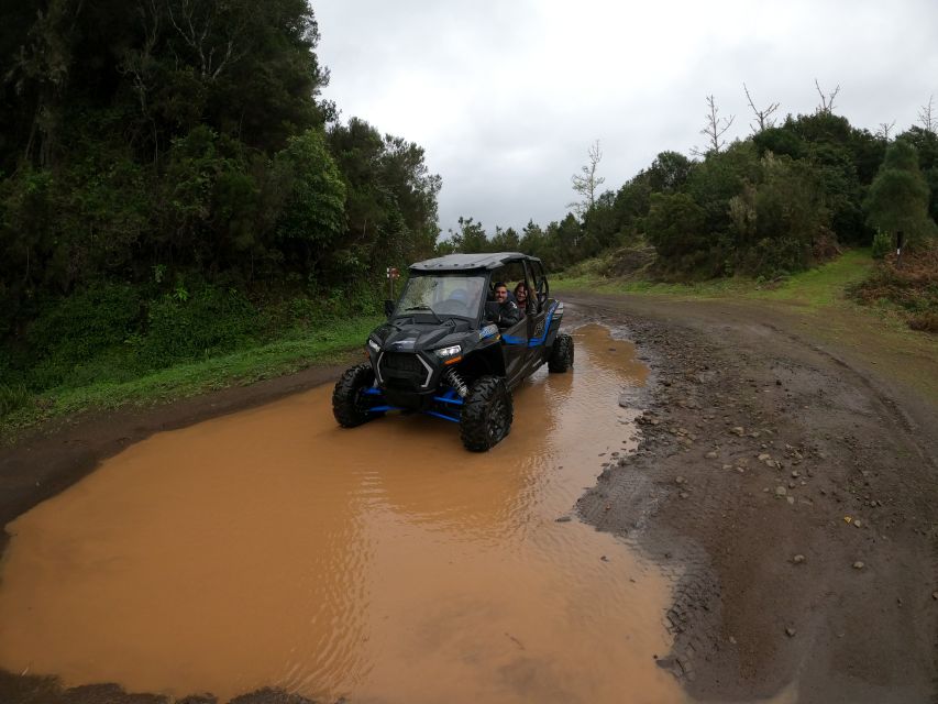 Madeira Private Buggy Adventure: Mountains and Forests - Key points at a glance