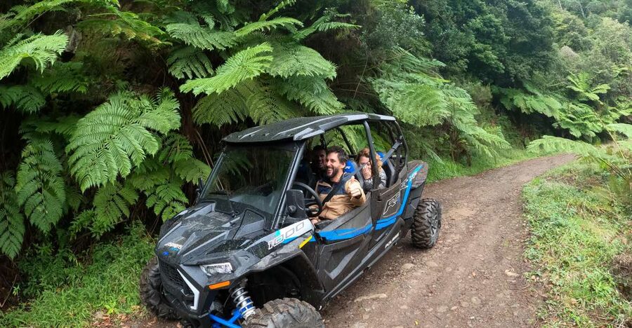 Madeira Private Buggy Adventure: Mountains and Forests - Guide style, safety, and the private format