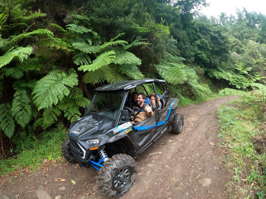 Madeira Private Buggy Adventure: Mountains and Forests - Pico Alto and the climb into Madeira’s mountains
