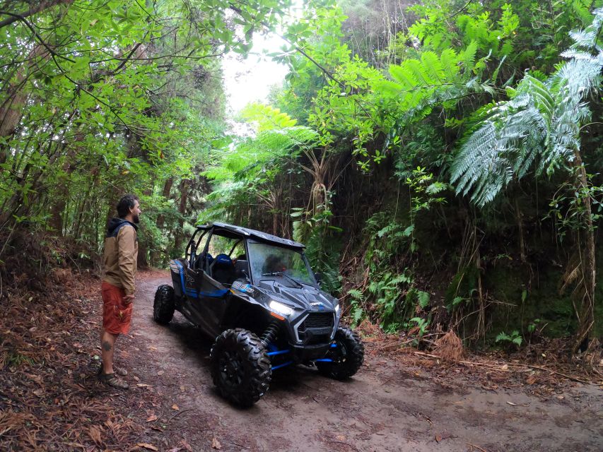 Madeira Private Buggy Adventure: Mountains and Forests - Pico do Suna and Lamaceiros Lagoon