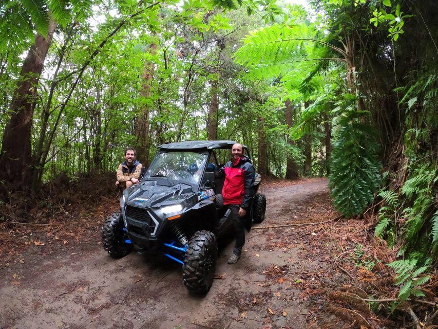 Madeira Private Buggy Adventure: Mountains and Forests - Portela Viewpoint and Penha d’Águia