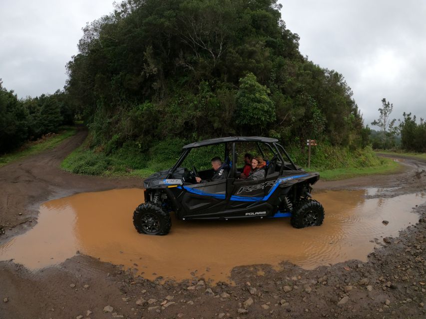 Madeira Private Buggy Adventure: Mountains and Forests - What driving the Polaris RZR XP4 is really like
