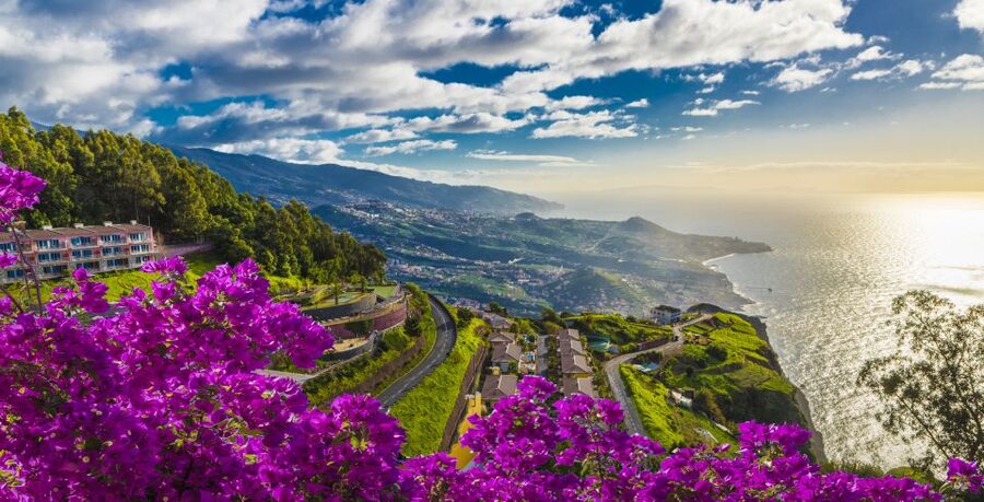 Madeira: Private Guided Cabo Girão Tour - Câmara de Lobos brings in the island’s working coast