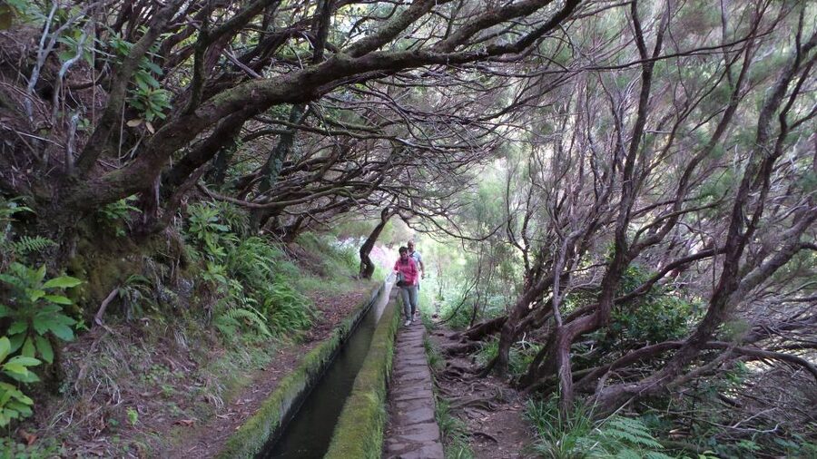 Madeira: Rabaçal 25 Fountains Levada Walk & Cabo Girão - Cabo Girão and the glass-floor viewpoint