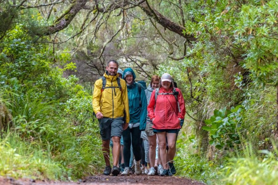 Madeira: Rabaçal 25 Fountains Levada Walk & Cabo Girão - Guides, group size, and the quality of the day