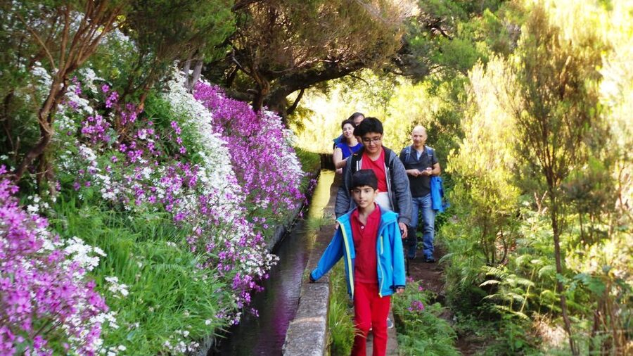 Madeira: Rabaçal 25 Fountains Levada Walk & Cabo Girão - The 800-meter tunnel and the best route advice