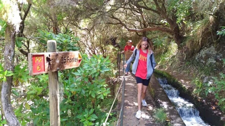 Madeira: Rabaçal, Risco and 25 Fontes Guided Hiking Tour - The ride from Funchal, Caniço, or the south coast