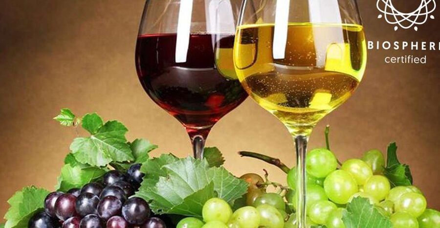 Madeira: Signature Wine Tasting, Skywalk & Nature Expedition - From Funchal to Serra d’Água
