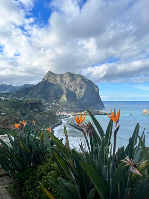 Madeira Stairway to Heaven to Larano Hike Mountain to Sea - Key points to know before booking