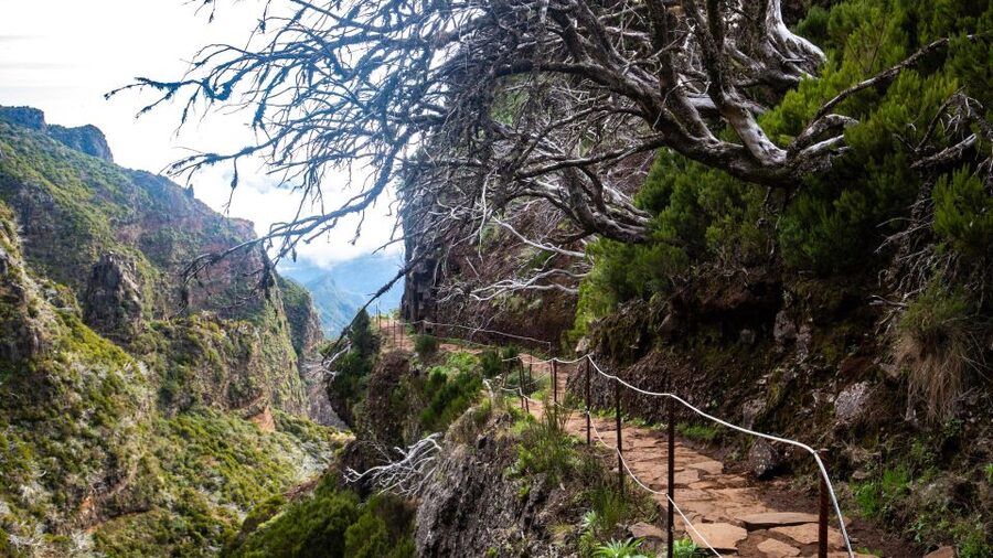 Madeira Stairway to Heaven to Larano Hike Mountain to Sea - Is $88 a fair price?