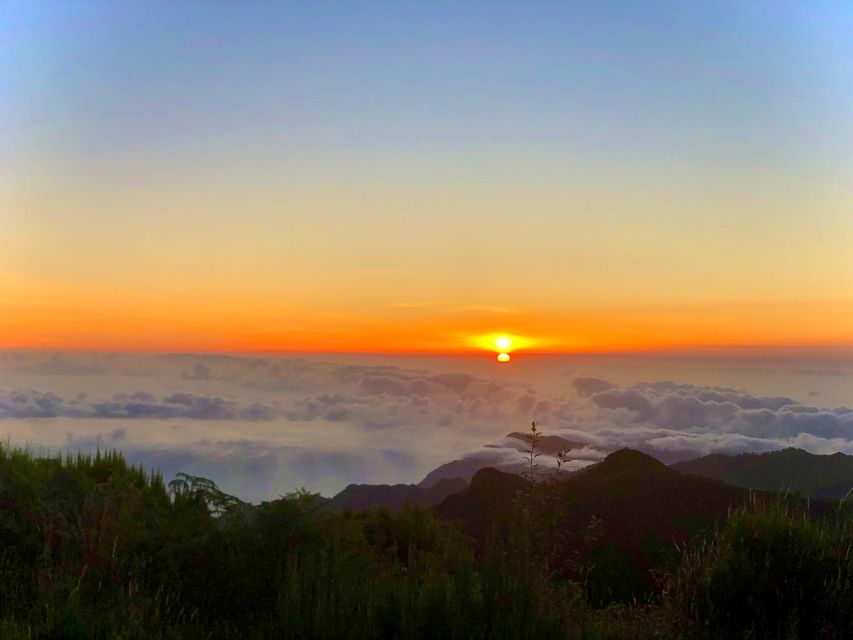Madeira: Sunrise at Pico do Arieiro & Hike Larano trail - Who should book this Madeira morning?