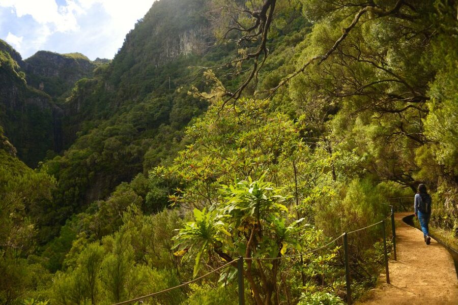 Madeira Walks - Rabaçal and the 25 Fountains - The 90-Minute Ride Into Madeira’s Mountains