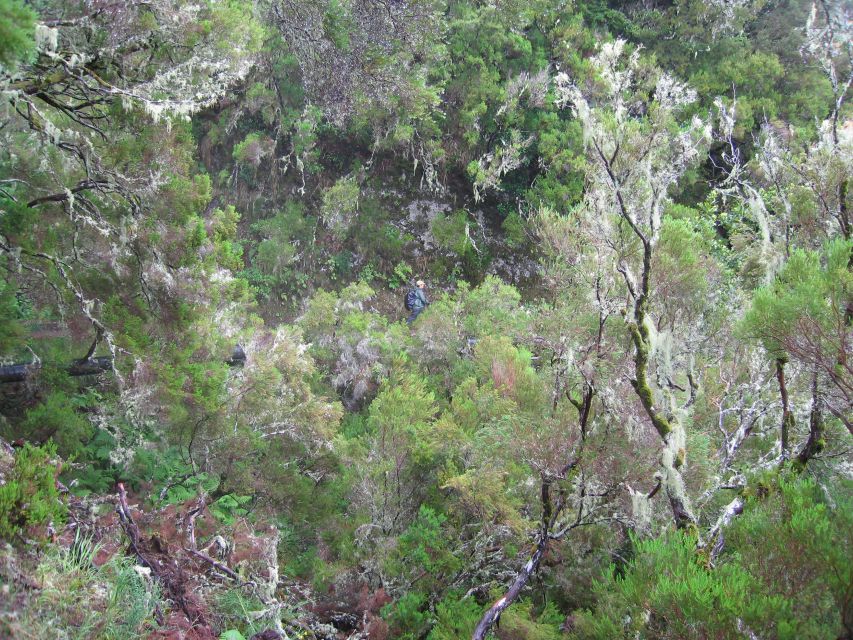 Madeira Walks - Rabaçal and the 25 Fountains - Weather Changes the Walk More Than the Season Does