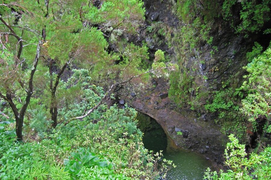 Madeira Walks - Rabaçal and the 25 Fountains - Guides Make the Difference