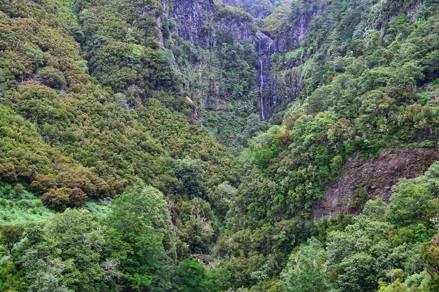 Madeira Walks - Rabaçal and the 25 Fountains - What the $50 Price Really Covers