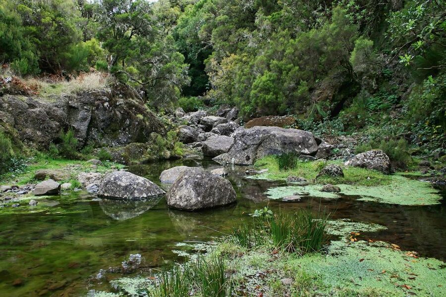 Madeira Walks - Rabaçal and the 25 Fountains - Who Will Enjoy This Hike Most