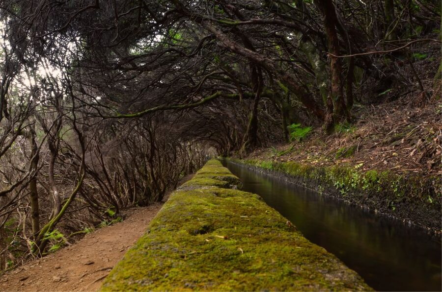Madeira Walks - Rabaçal and the 25 Fountains - Four Hours on Levadas, Steps, and Forest Paths