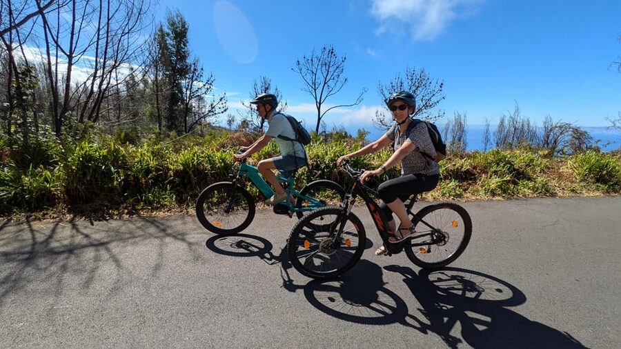Madeira West coast: Guided Sightseeing E-Bike Tour - Pine trees and quiet forest roads near Prazeres