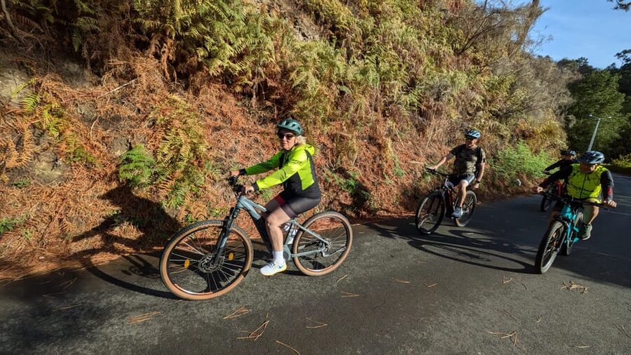 Madeira West coast: Guided Sightseeing E-Bike Tour - Ponta do Pargo, cafés, and the western edge of Madeira