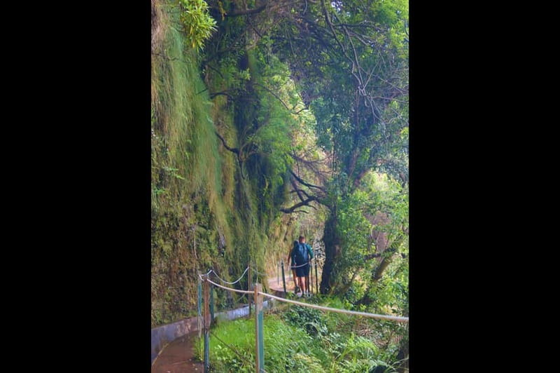 Madeira: Wet your hair in the amazing Levada Nova / Moinhos - How the flexible timing works